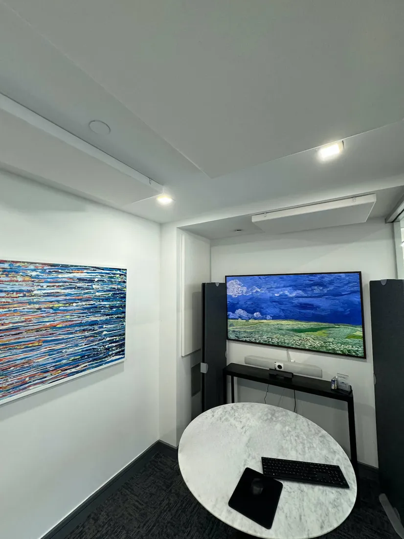Ceiling and Wall Panels