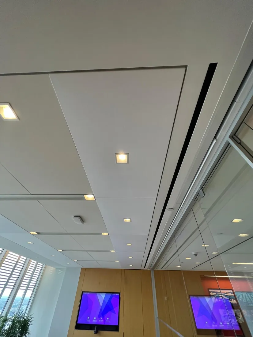 Custom Acoustic Ceiling Panels
